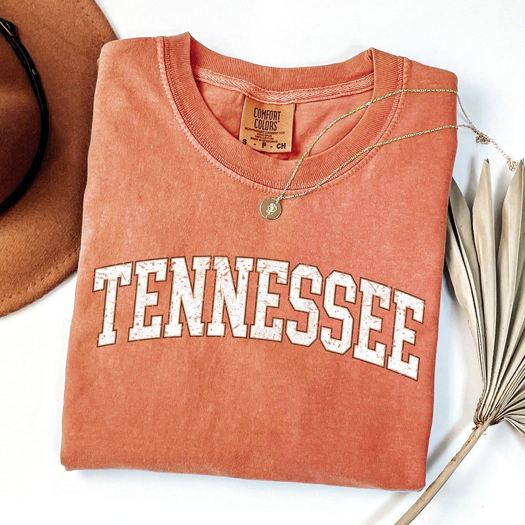 Tennessee, Football, Game Day Tailgate Party State Tshirt