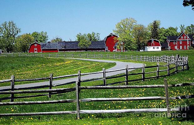 Farm Landscape Print
