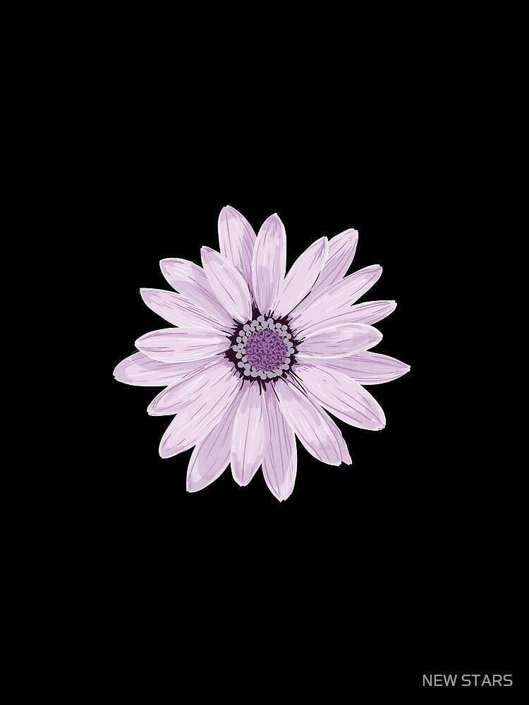 flower borders by stars now