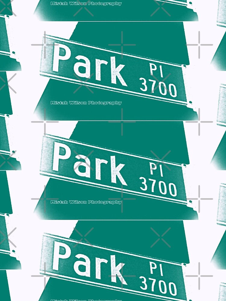 Park Place, Montrose, CA by Mistah Wilson by The Street Sign Store
