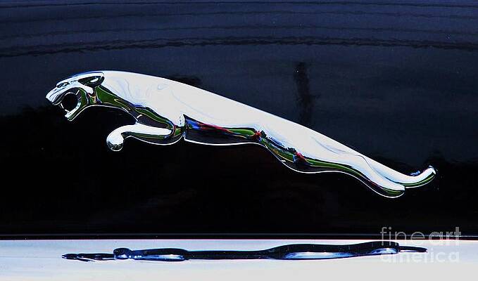 Surreal Floating Jaguar Print
