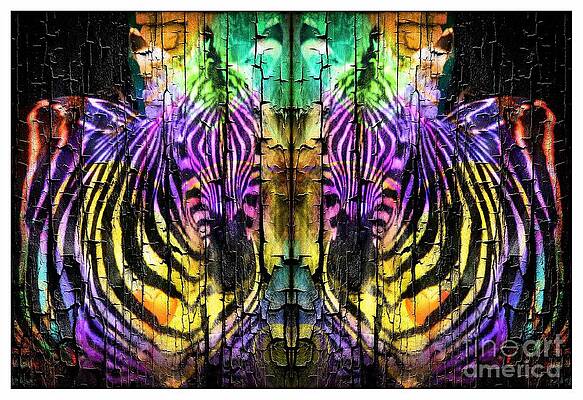 Fun Zebras Print