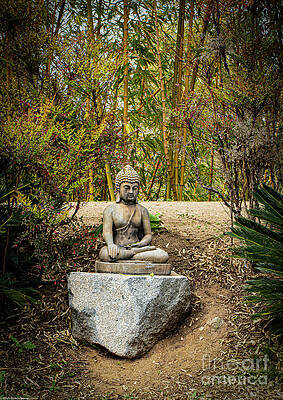 Garden Buddha Print