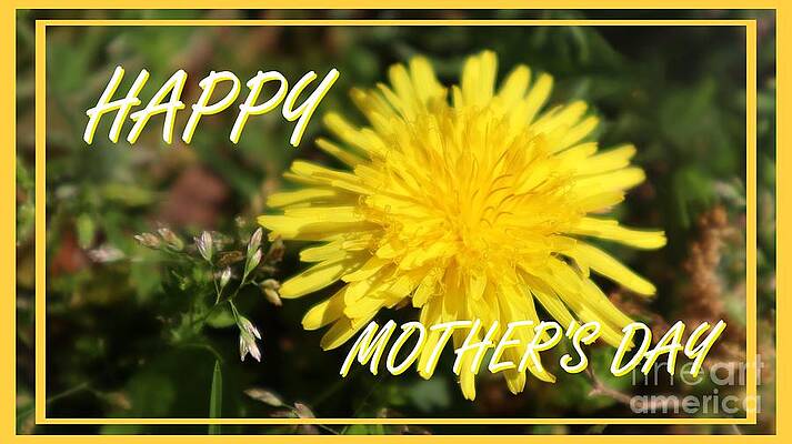 Yellow Dandelion Happy Mother's Day Greeting Print