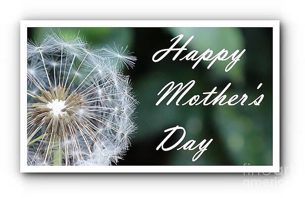 White Dandelion Mother's Day Greeting Print