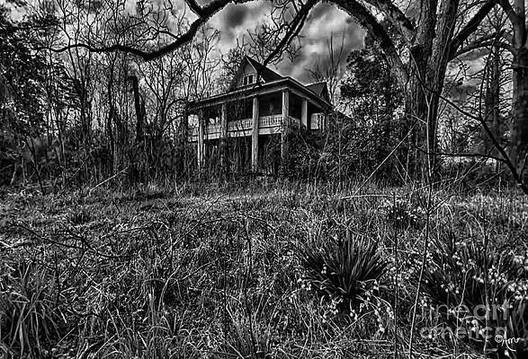 Kind Of Haunting Print