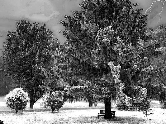 Let It Snow Print