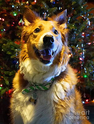 Lola, Enjoying The Holidays Print