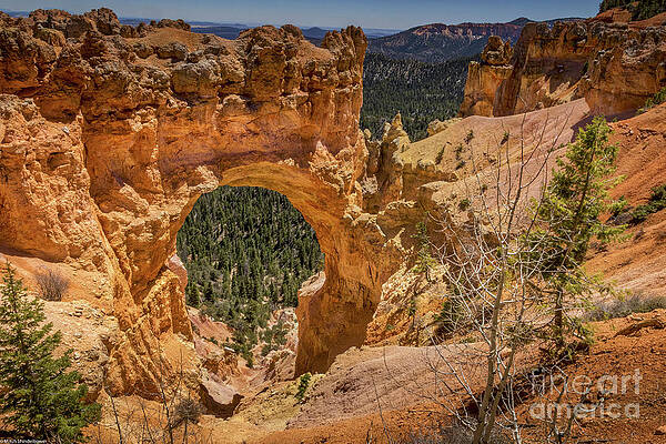 Natural Bridge Bryce Canyon Print