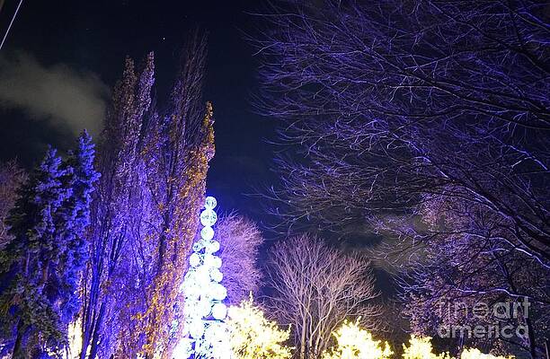 Night, Before The New Year Print