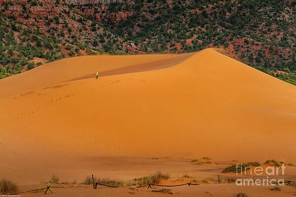 On Top Of The Dune Print