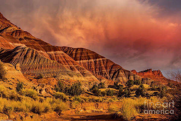Paria Canyon Vermilion Cliffs Wilderness Print