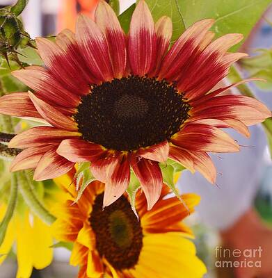Power Flower Print