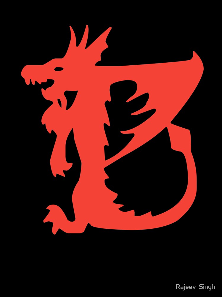 Dragon Initial Monogram B by Rajeev  Singh