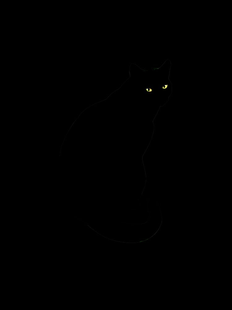 Basic Black Cat by Delfyn Studios
