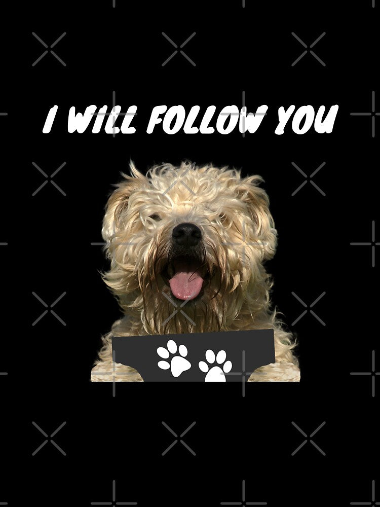 Personal Stalker Dog – Soft Coated Wheaten Terrier by More Cute Dogs