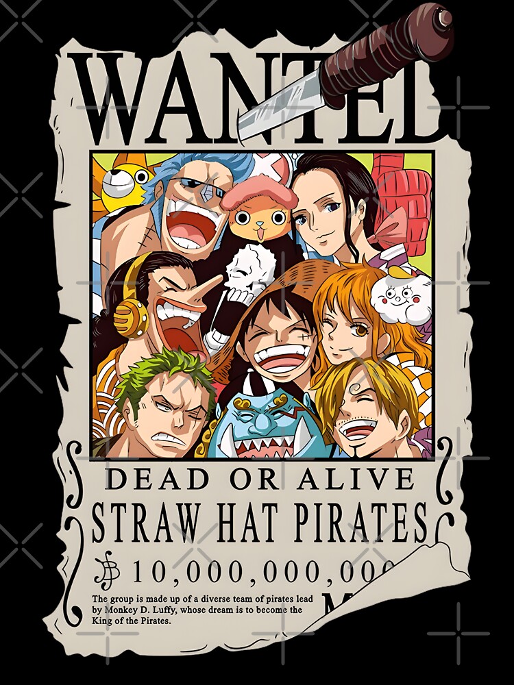 Straw Hat Pirates by ANIME HEAT