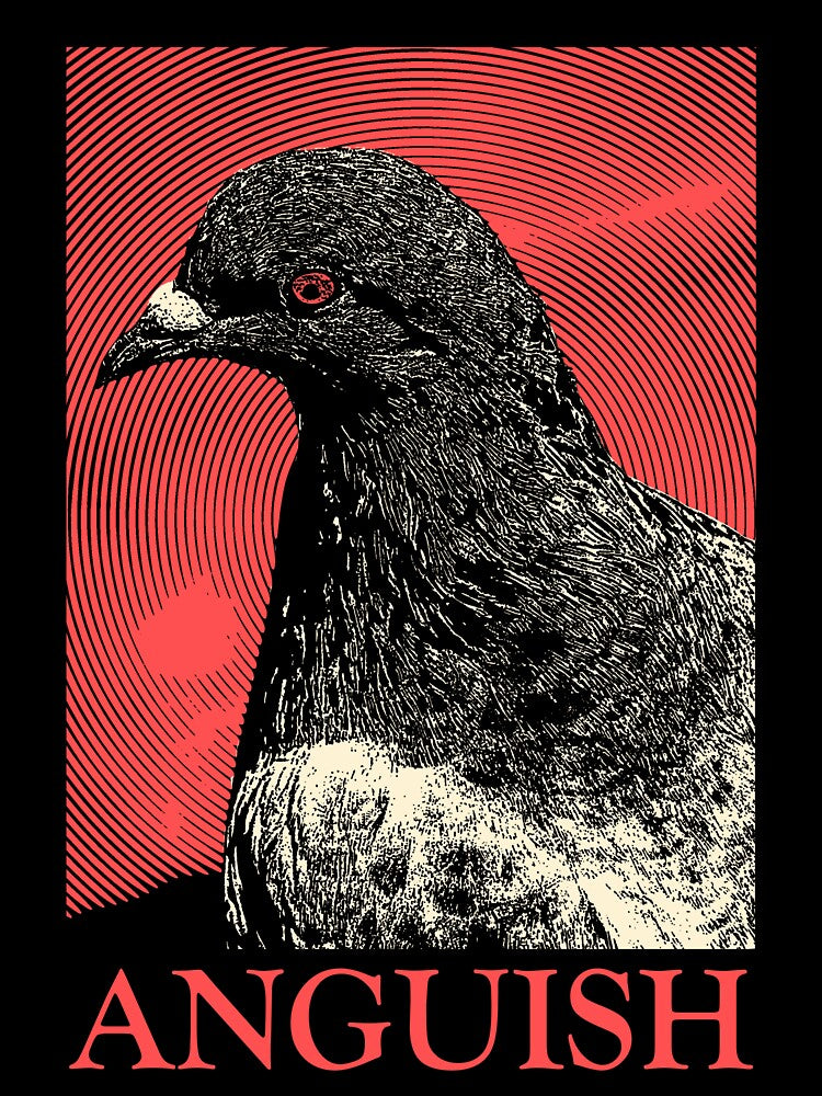 Anguish Pigeon by VintageMedatsu
