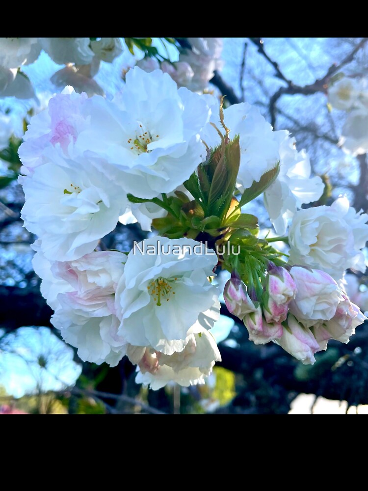 Soft Blossom - Emerald by NaluandLulu