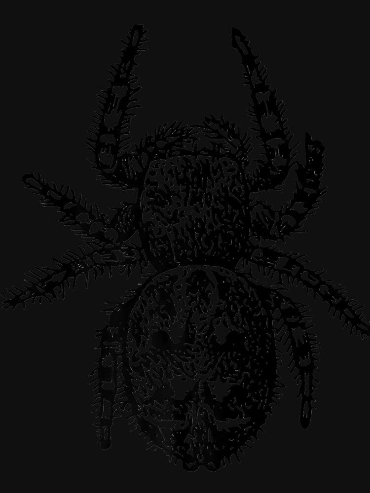 Jumping Spider Premium T-Shirt by RobertRogers6