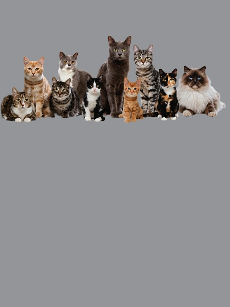 Jade Herrera Cats by Gaea1