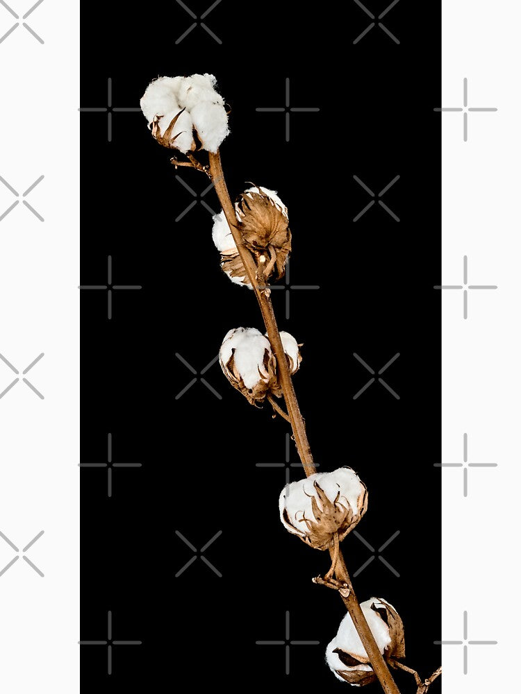 cotton sprig by IgorKovalenko