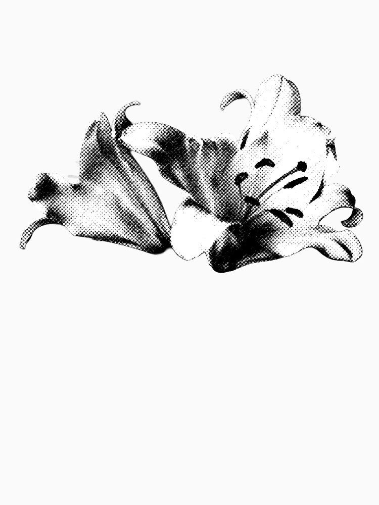 flower by CSDesignGraphic