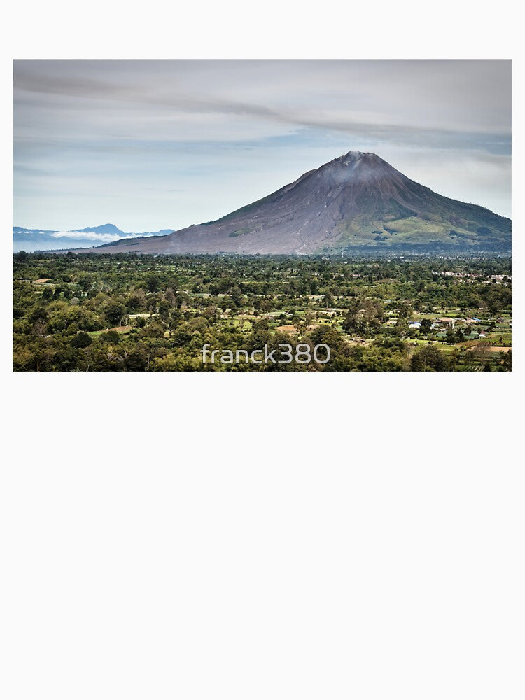 Wild nature and agricultural land in Sumatra by franck380
