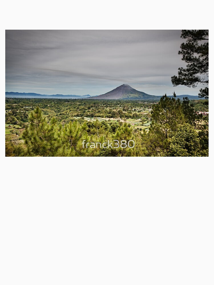 A vast panorama of the valley and its volcano by franck380