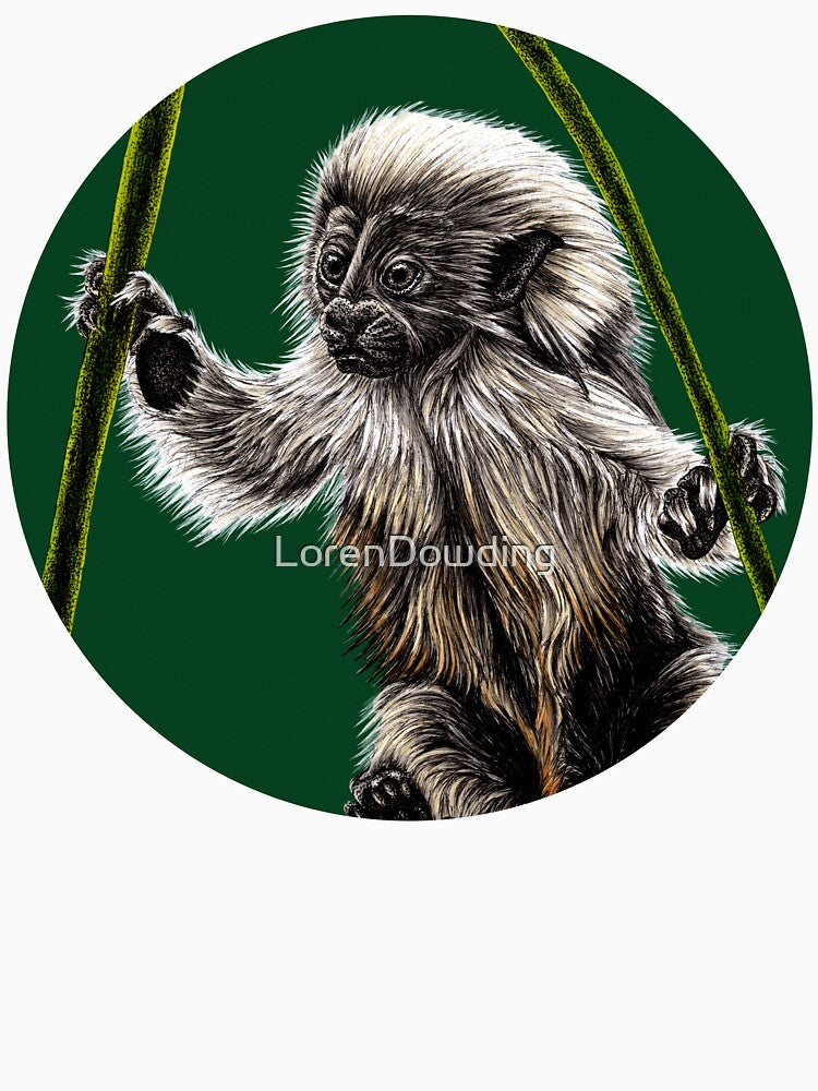 Baby cotton-top tamarin by LorenDowding