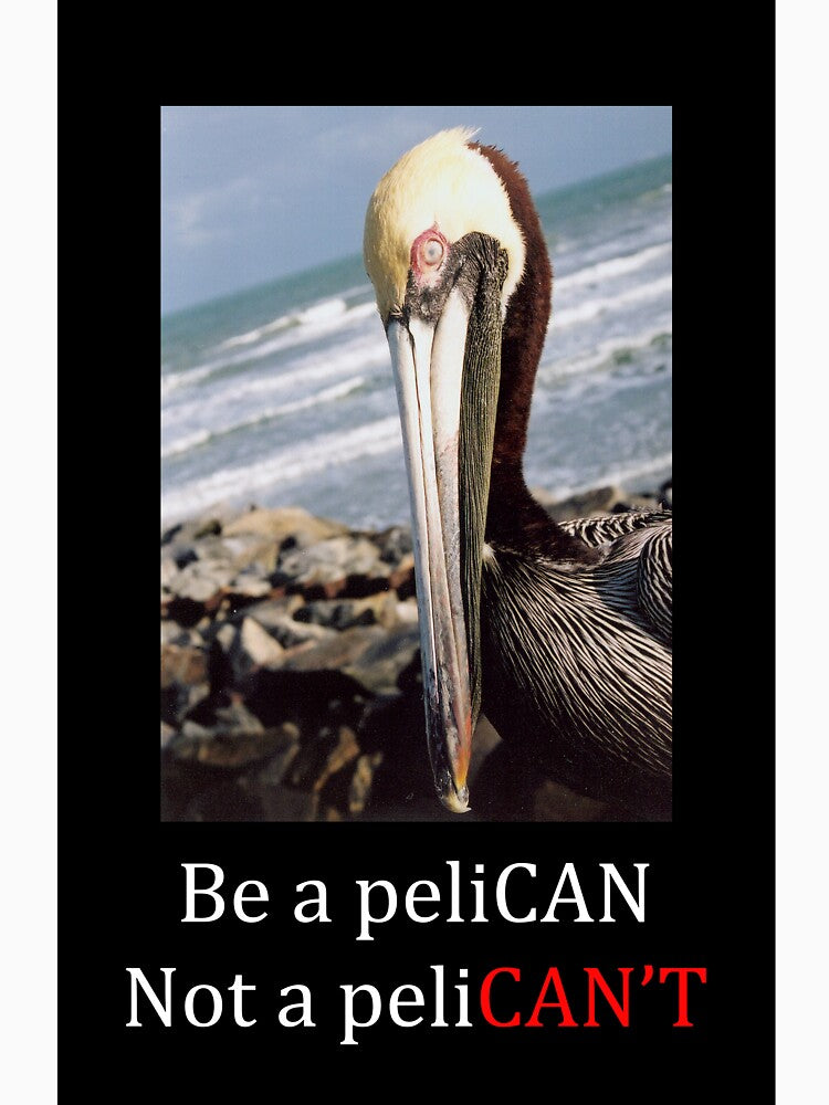 Be A PeliCAN by caseyritter