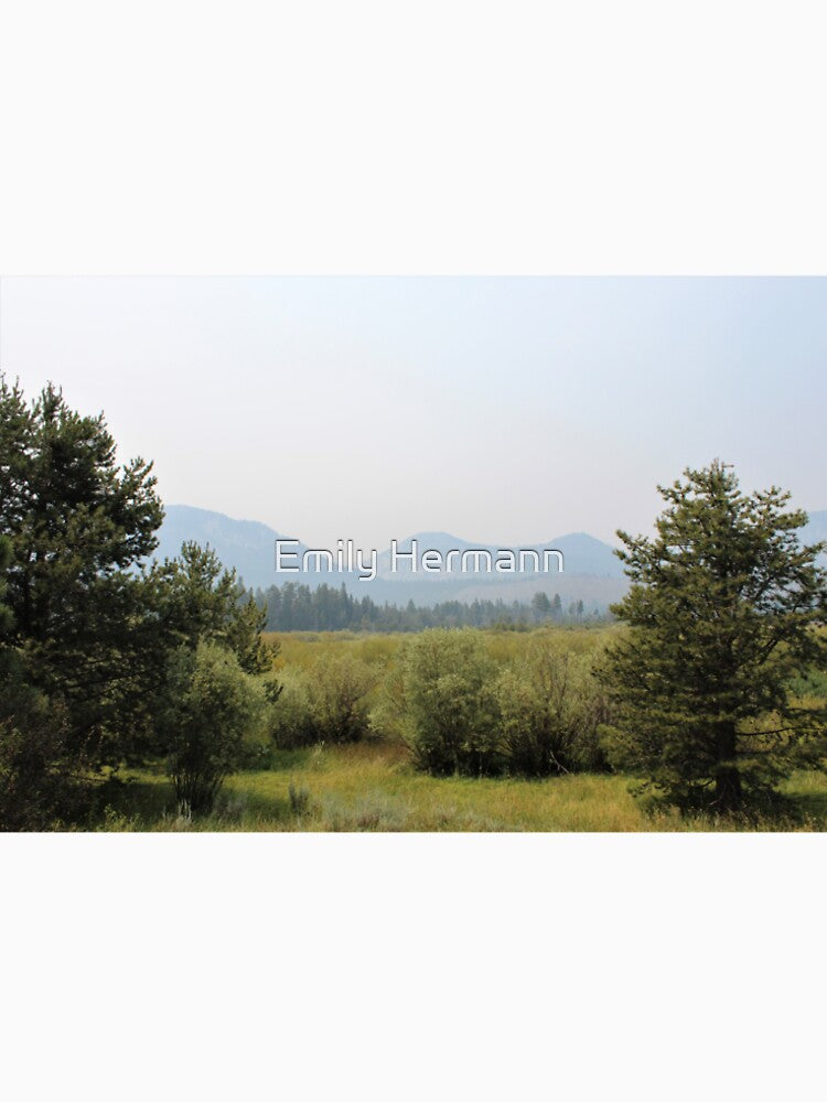 A Foggy Day by Emily Hermann