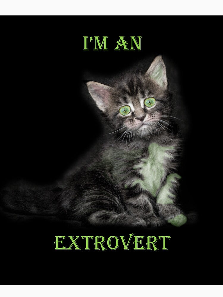 I'm An Extrovert by Patricia Brown
