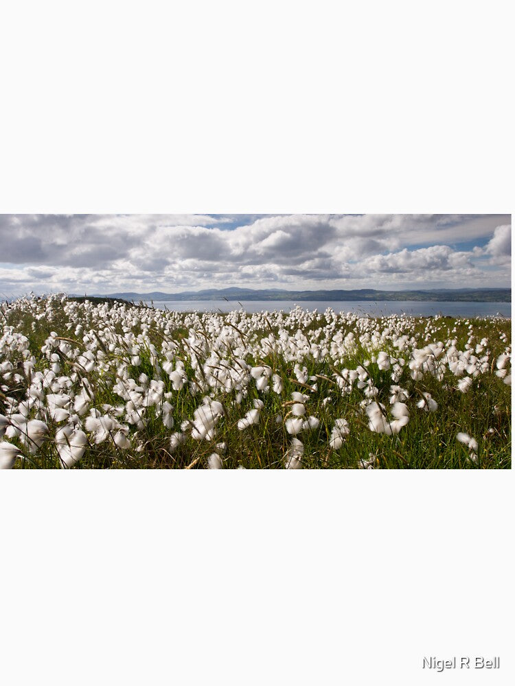 Bog Cotton on Binevenagh by Nigel R Bell Photography