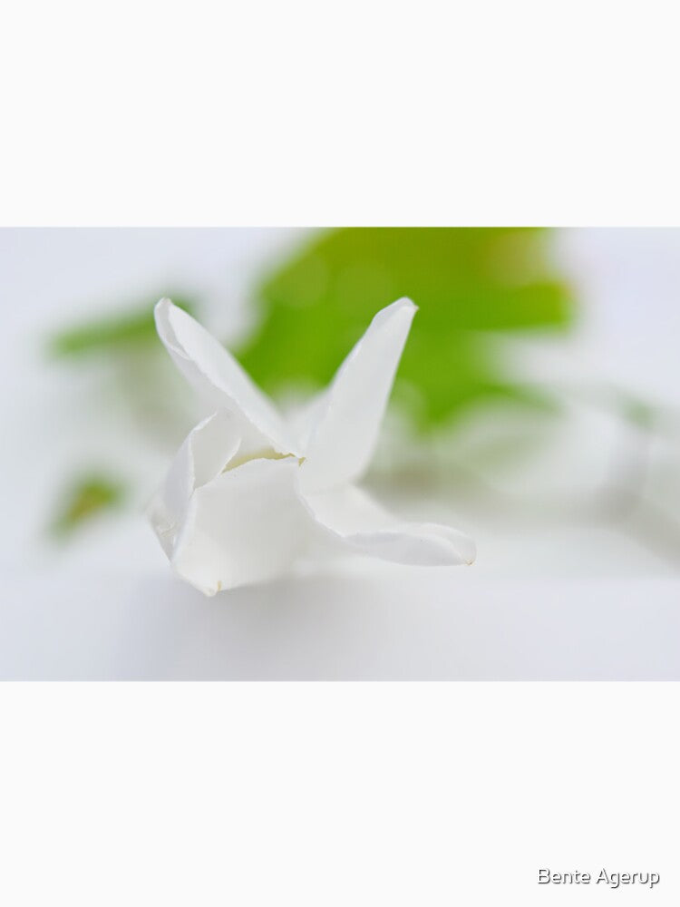 Soft by Bente Agerup