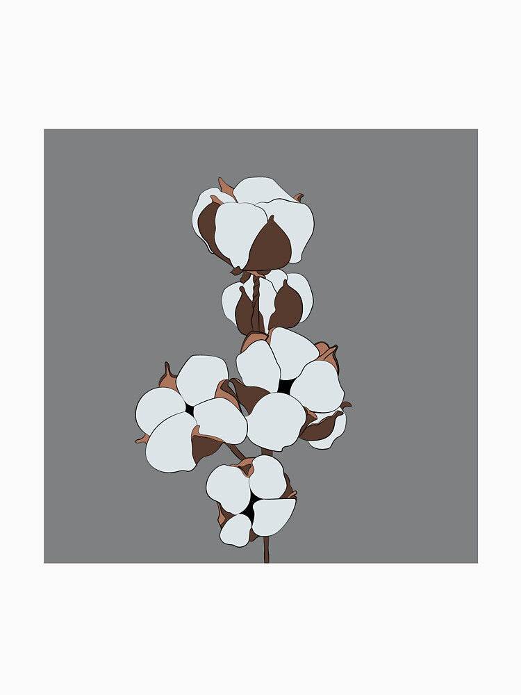 Botanical illustration | Flowering branch cotton by mariline-design