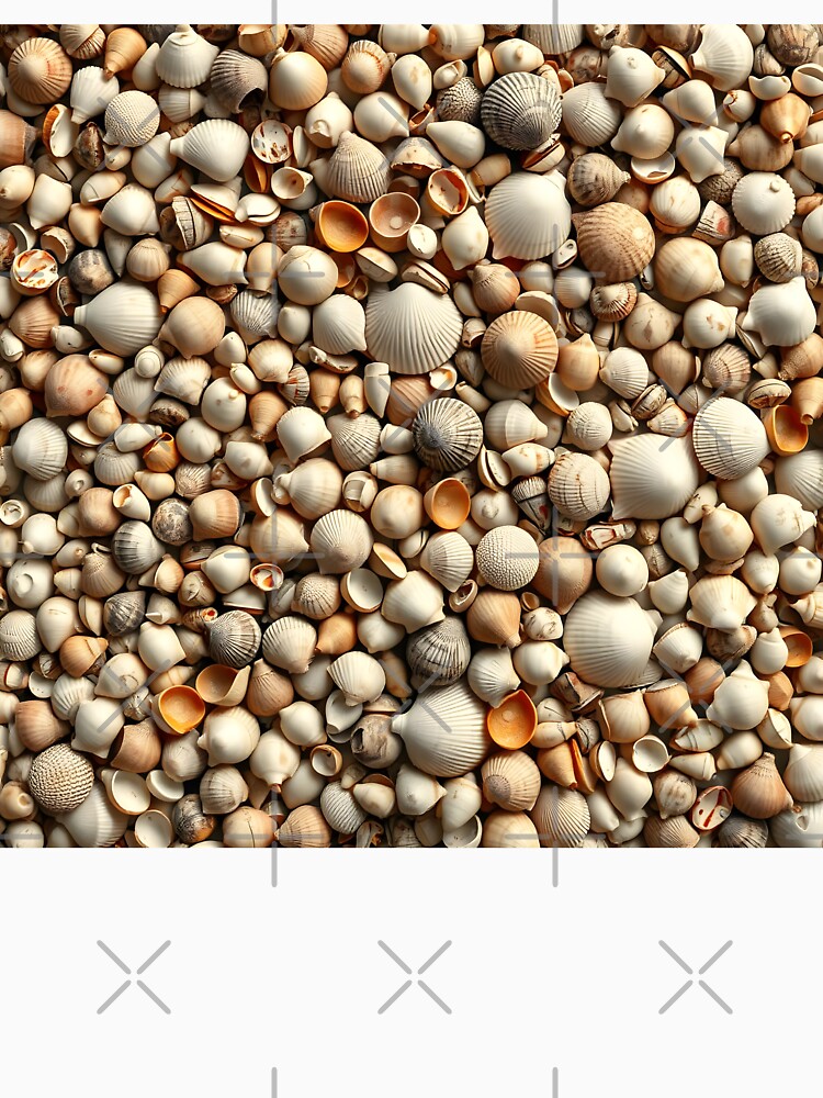 Shell 2 by HebaRK Studio