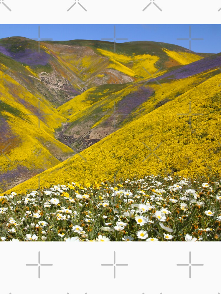 Superbloom - Incredible California wildflowers by MH65Designs