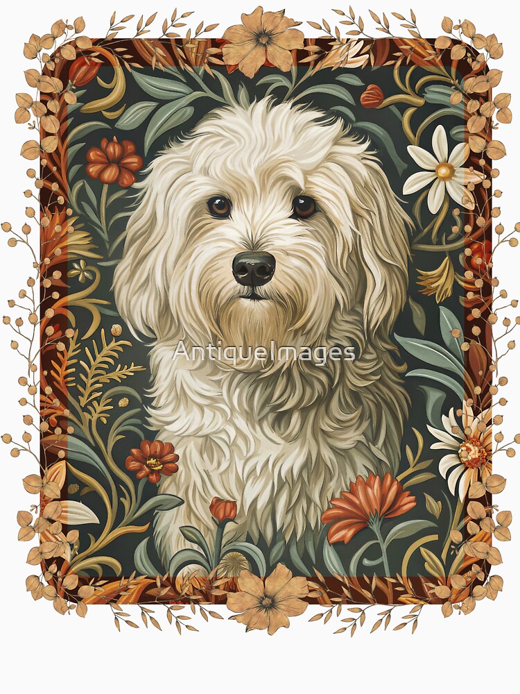 Cute White Shaggy Dog Havanese or Maltese by AntiqueImages