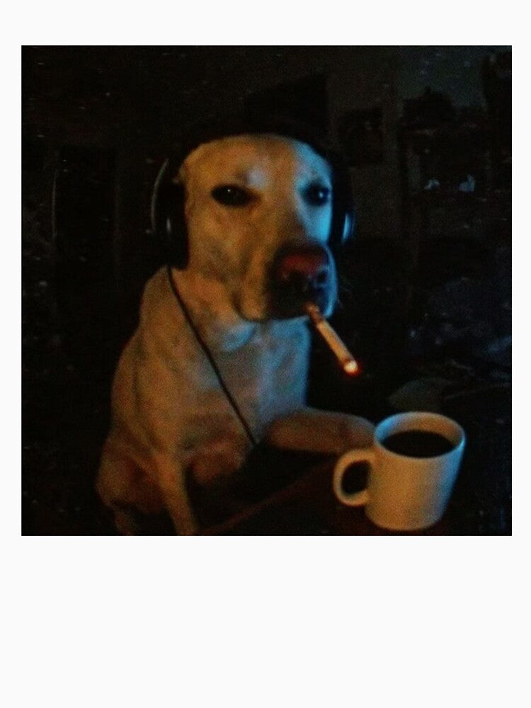 doggo by cocaynecowboy
