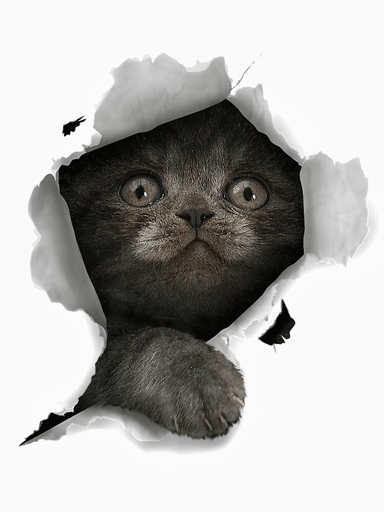 Cat Shirt, Gray Cat Tshirt, Cat Torn Cloth Shirt, Kitten Premium T-Shirt by gillsue43