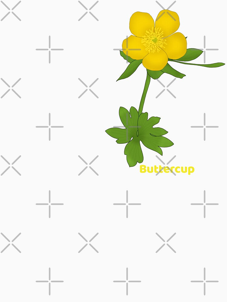 Buttercup(Ranunculus bulbosus) by Floralfusion