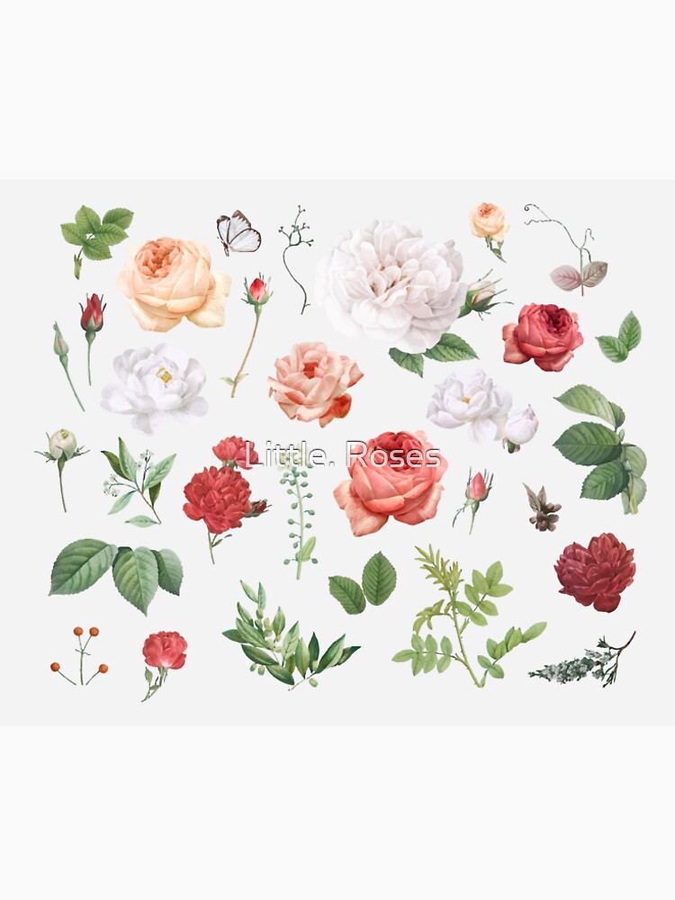 Flower by Little. Roses