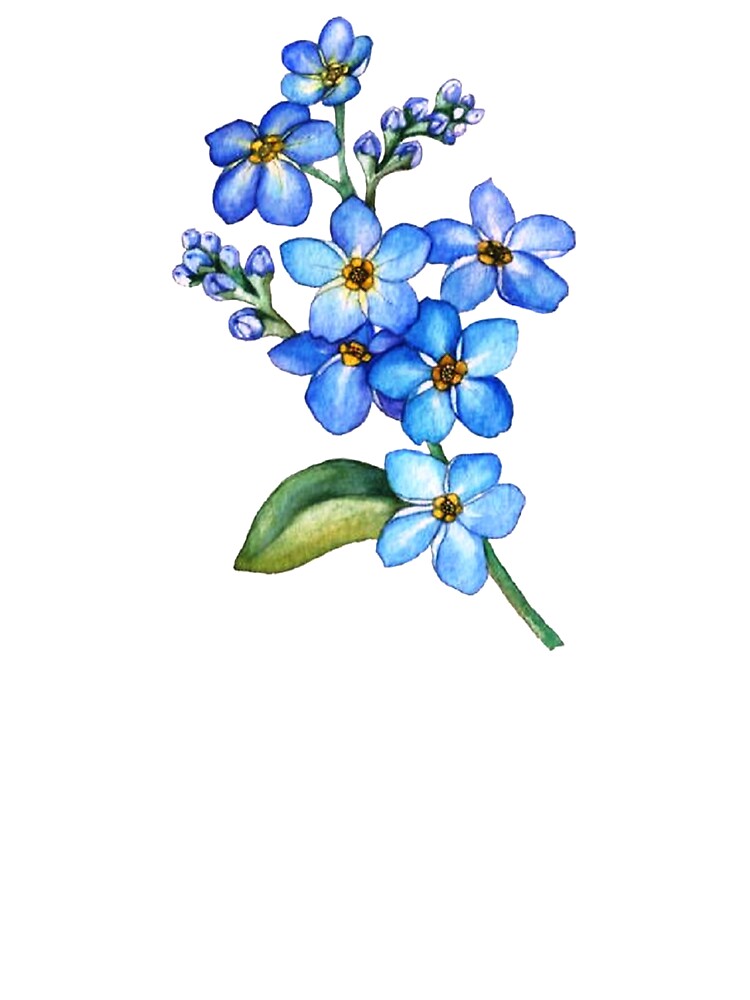 flower illustration by RayIbrahimm