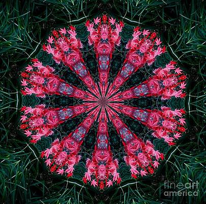Red Rutin Digitalized Maple Print