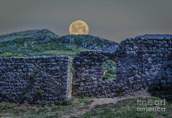 Rising Moon Print