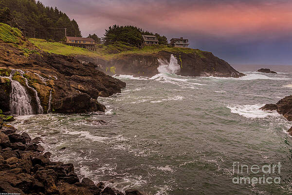 Rodea Point Print