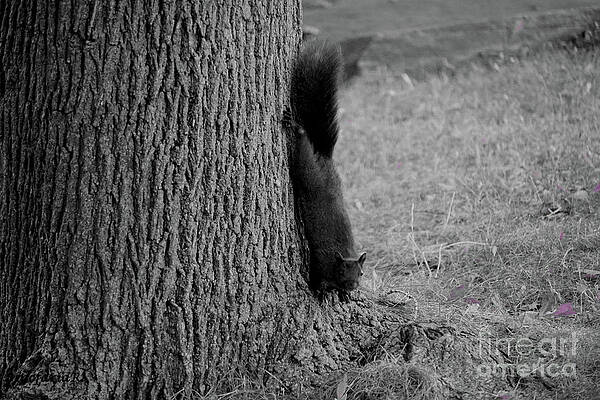 Someone's Out There Print