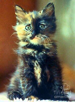 Spare Parts My Cat Print