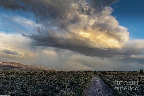 Spring Storm Nevada Print